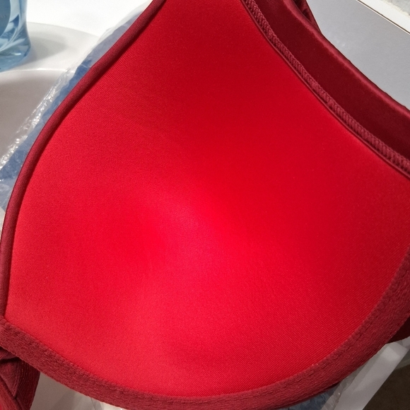 NEW Ambrielle' Blood Red Embroidered Roses Bra     Size 40D - Picture 7 of 8